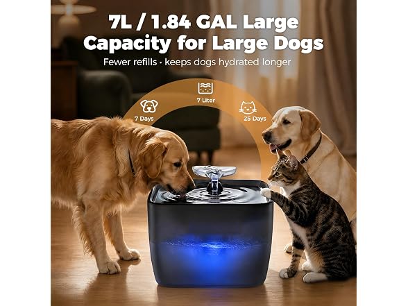 Pet Water Fountain for Large Dogs & Cats