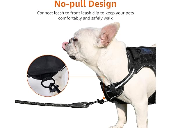Amazon Basics No Pull Dog Harness