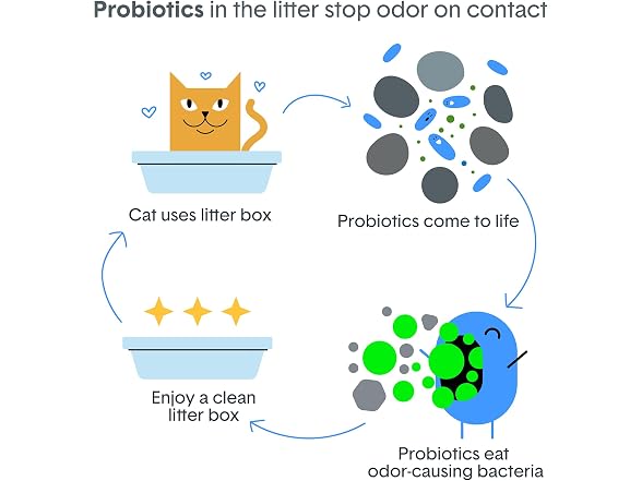Boxie Probiotic Cat Litter, 40 Day Odor Contr