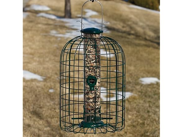 Audubon Squirrel Proof Caged Tube