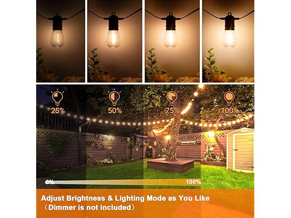 ShineU ShineU 48FT LED String Lights, 2200K S1