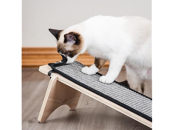 Kitty City Novelty Cat Scratchers, Ramp