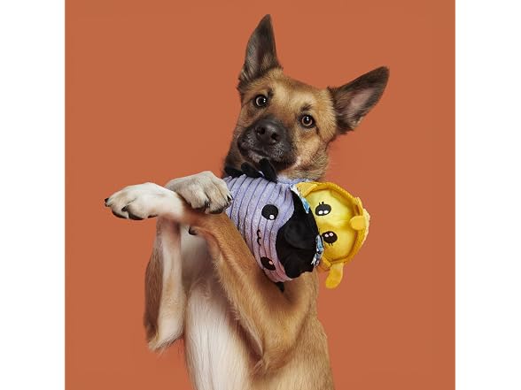 BarkBox Hasina the Hissing Cockroach Dog Toy