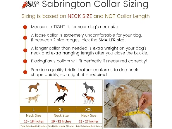 BlazingPaws® Sabrington 2 In Wide Luxury Spi