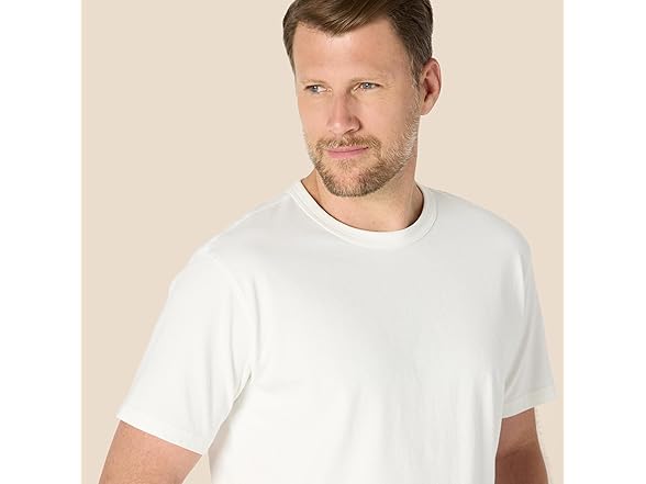 AE Mens RelaxedFit Heavyweight Cotton Crewneck