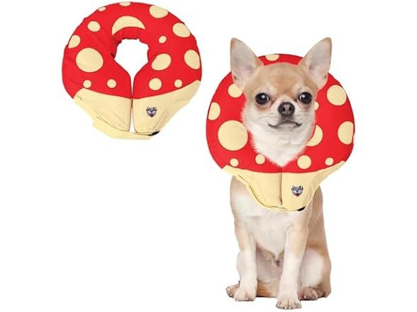 BigMouth Mushroom Inflatable Dog Collar