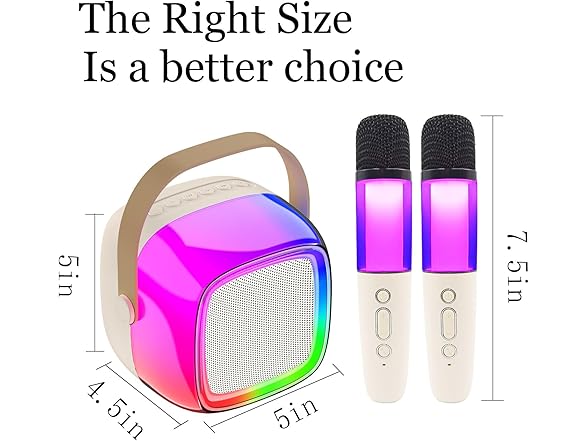 Karaoke Machine with Two Wireless Mics