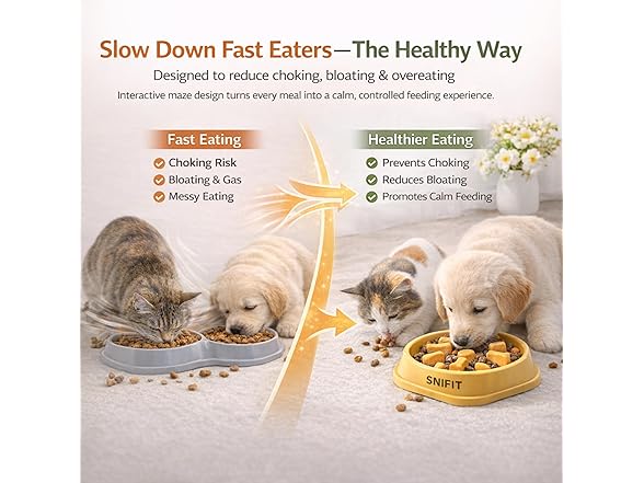 SNIFIT Slow Feeder Bowl for Small & Medium Cats & Dogs