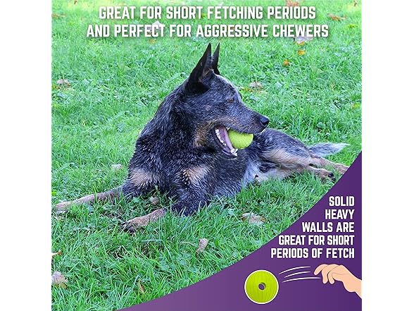 Chew King Supreme Rubber Fetch Balls 2Pk