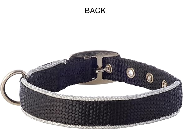 Pet Passion Silver Trimmed Dog Collar