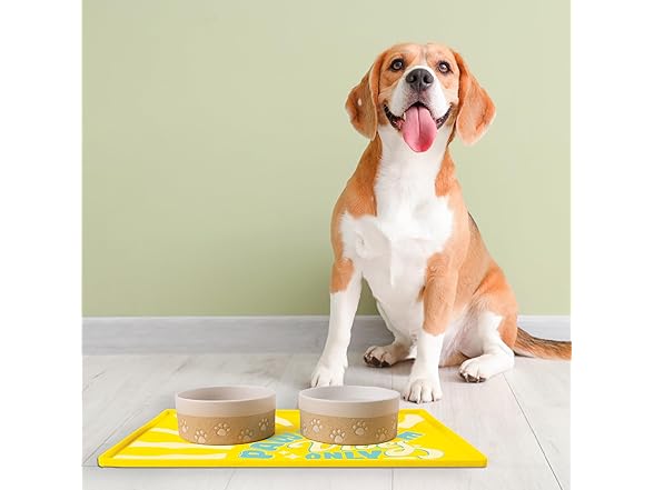 BigMouth Inc Pawsitve Vibes Pet Placemat