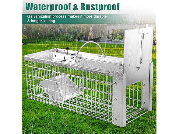 Live Animal Cage Trap