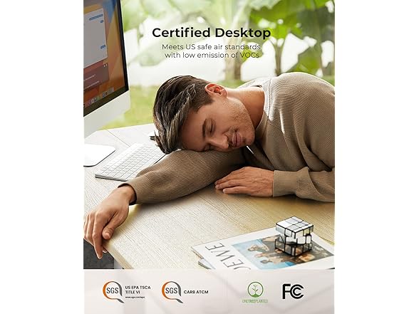 Totnz Standing Desk Adjustable Height