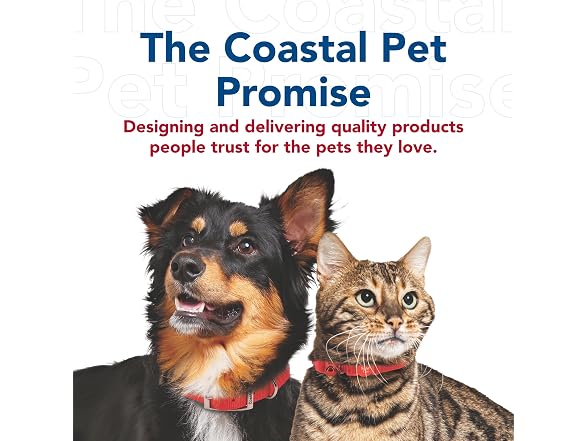 Coastal Pet Titan Chain Dog Leash with Comfo