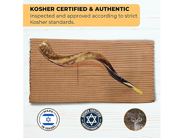 YOMTOV-SHALOM | Kudu Shofar 