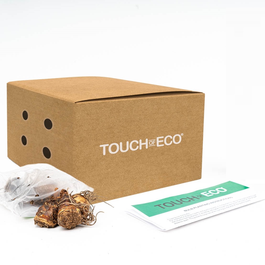 Dutch Iris Mix Flowers - Gallery 10