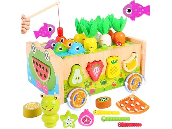 Montessori Toys Wooden Shape Sorter