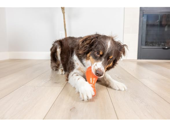 Chuckit! Chuckit! Bones Crunch Drumstick Treat