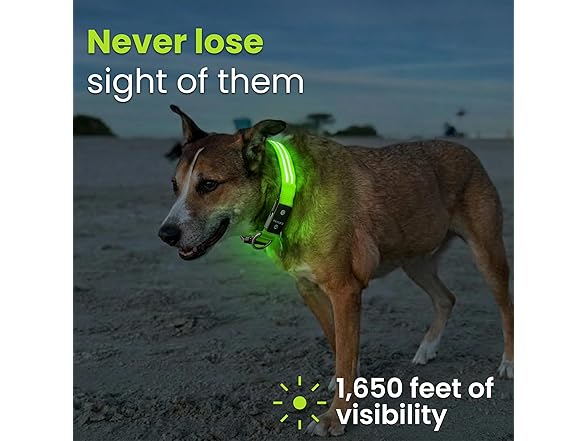 Tractive LED Light Up Dog Collar USB Rechargeable (Green)