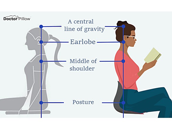 Evertone Posture Support Seat Cushion