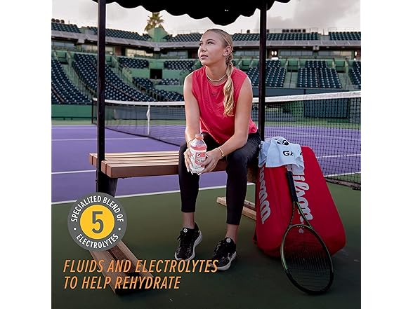 1CT Gatorlyte Zero Lemon Lime 20oz