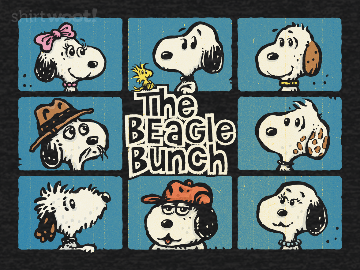The Beagle Bunch - Gallery 4