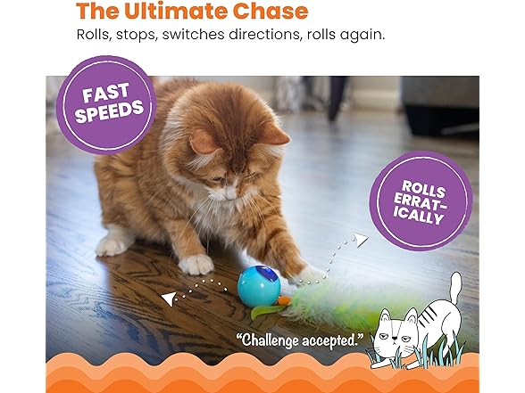 Catstages Roll & Chase Robot Toy