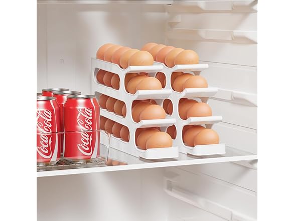 Sotfamily Egg Holder