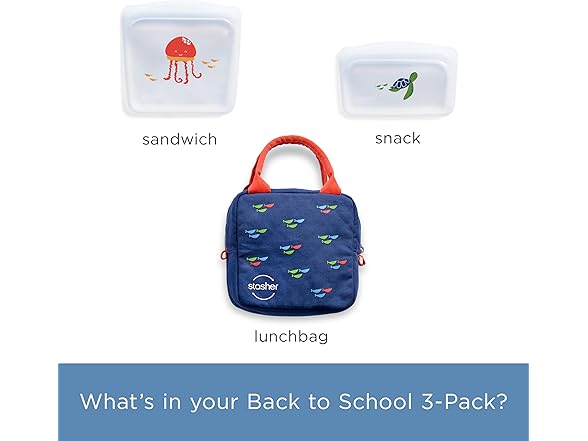 Stasher Reusable Food Storage Bags w/Lunch Bag