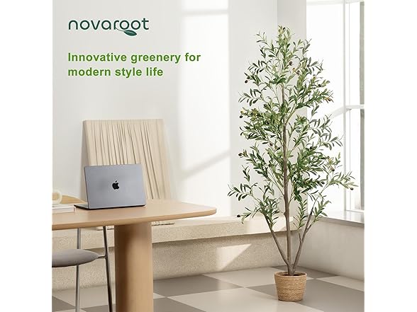 NOVAROOT Artificial Indoor Olive Tree