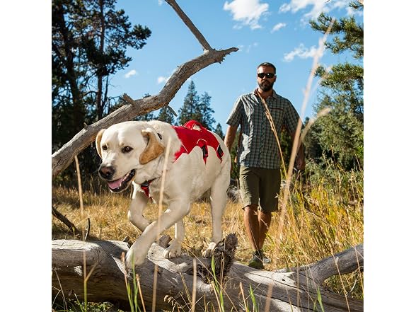 Ruffwear, Web Master, Multi-Use Support Dog