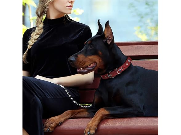 COWBOYS Premium Dog Collar (L)