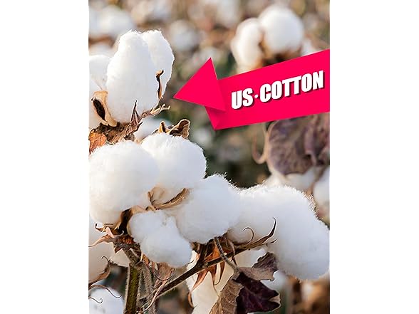 2 Pack Men's Long Sleeve Crew Neck Tee