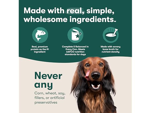 12PK Jinx Bone Broth Stew for Dogs - Salmon & Veggie