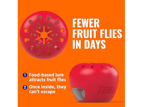 TERRO GAR-02 TERRO Fruit Fly Trap 4-Pack