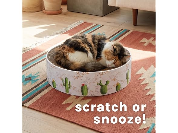Kitty City Cactus Corrugate Scratcher Bed - Round Lounger