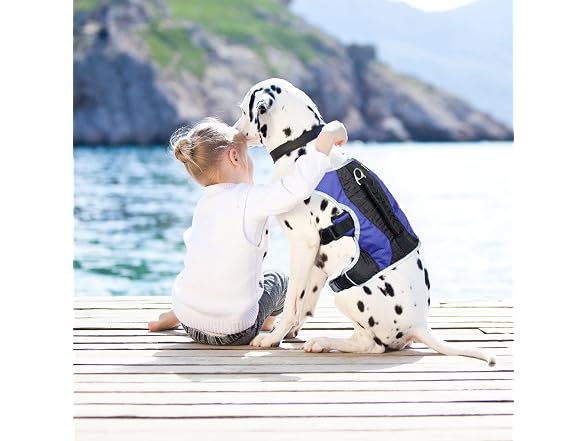 No-Pull Dog Harness Blue Dog Harness