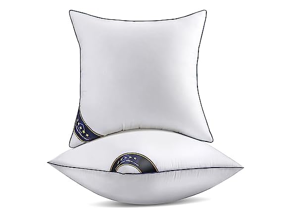 2 Pack 18"x18" Throw Pillow Inserts