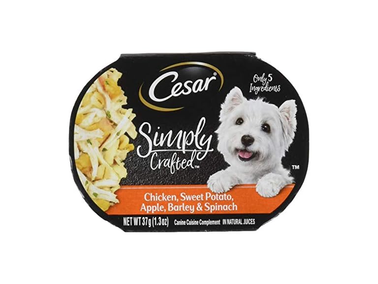 Cesar Simply Crafted CHC SWT PT APLBRLSPN Wet
