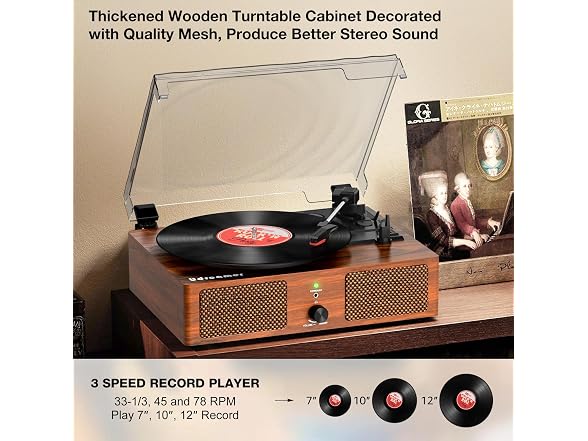 Vinyl Record Player Turntable with