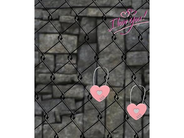 WANLIAN 2 Heart Combination Locks