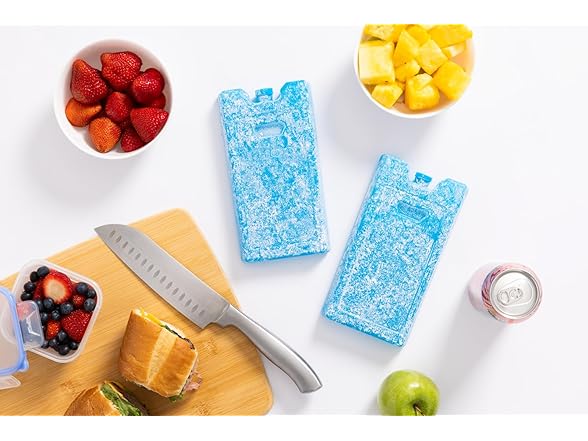 Igloo Medium Maxcold 2 Pack Ice Block
