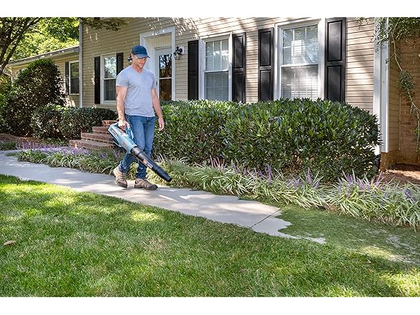 SENIX X5 58 Volt Max Handheld Cordless Leaf Blower