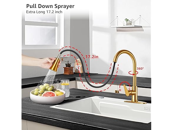 Rainovo Kitchen Faucet with Pull Down Sp