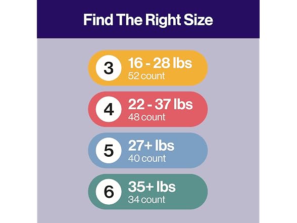 The | Honest Company Overnight 34 Count