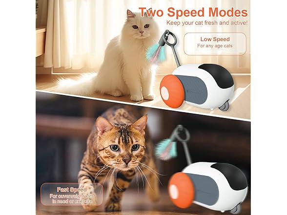 Sirualtz Remote Control Cat Toys for Indoor Cats