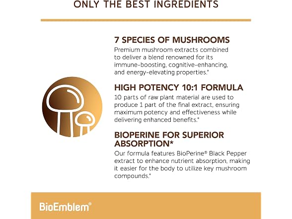 7 Mushroom Complex, 10:1 Extract