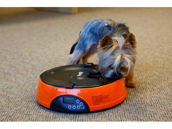 Qpets Programmable Auto Pet Feeder
