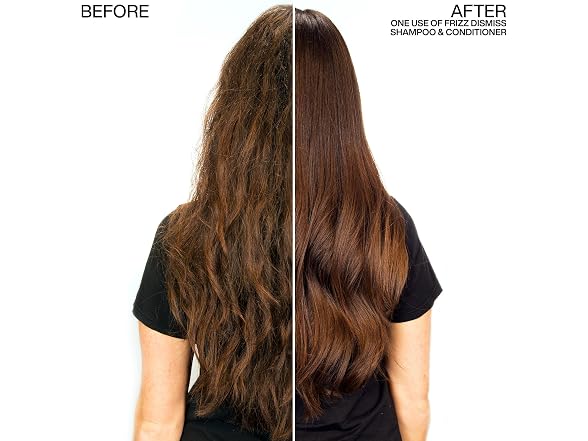Shampoo, 10.1 oz & Redken Friz