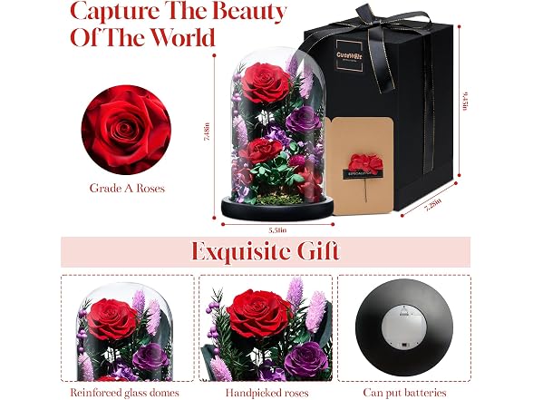 CuteWelt Preserved Roses